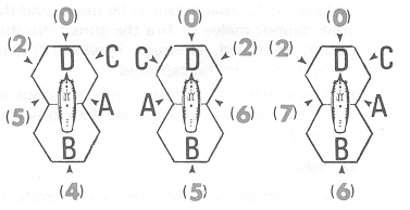 Full Sail Speeds 5, 6, 7